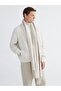 Lcw Vision Beige College Collar Men's Jacket