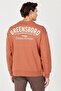 Oversize Men's Sweatshirt W232243219 - 4