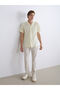 Regular Fit Short Sleeve Poplin Men's Shirt - 2