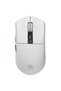 Jester 8K Wireless Mouse