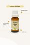 Lemon Oil 20 ml – Herbal Aroma and Care Oil - 3