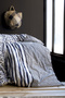 Brezza Ranforce Duvet Cover Set Single Size - 2