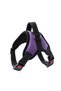 Dog Collar XL Size + Silicone Waterproof Cat Dog Walking Shoes L Size (Purple Set) - 3