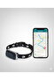 Pet Gps Tracker |   Locator for Cat & Dog |   Water Resistant, Audible Warning - 7