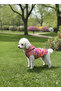 Cat - Dog Waterproof Vest Raincoat - Clothing - Coat - Sweat - 3