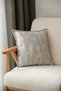 Pablo Light Gray Throw Pillow Cover (45X45) - 4