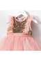 Dream Girl's Sequined Pink Chiffon Dress - 3