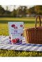 Fig Dried Fruit Chips 30 g X 2 Pcs Freeze Dried Fruit - 3