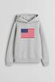 American Flag Printed Gray Hooded Sweatshirt Hoodie