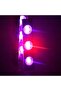 شريط إضاءة LED محيطي للسيارة يعمل بمنفذ USB، إضاءة مزاجية متعددة الألوان للسيارات، - 4