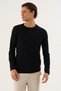 Buttoned Collar Long Sleeve Casual T-Shirt