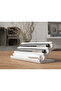 Modern Stylish Pen Stand Fountain Pen Holder White (Bioplastic) - Pen Holder for Office - Desktop Gift