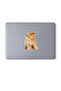 Mixed 260 Pieces of Cute Cats, Cat-Themed Notebook, Tablet, Phone Sticker Set (20 Sheets) - 3