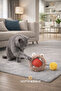 Cat Intelligence & Toy Set (8 Pieces) – Entertainment, Activity, and Reward Toys - 4