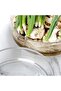 Glass Cylinder Vase Decorative Centerpieces for Home & Wedding Decoration, 15x8cm - 3
