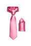 Satin 6 cm Classic Sports Tie with a Shiny Handkerchief - 7