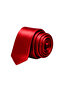 Satin 6 cm Classic Sports Tie with a Shiny Handkerchief - 2