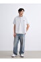 Regular Fit Short Sleeve Striped Poplin Men's Shirt - 2
