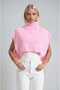 Sleeveless Turtleneck Knitwear Sweater 1427 - 4
