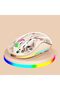 Nexahive Transparent Wireless Mouse M333, Silent Design, Type C Charging Port, USB, BT5.1, RGB light - 6