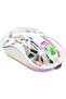 Nexahive Transparent Wireless Mouse M333, Silent Design, Type C Charging Port, USB, BT5.1, RGB light