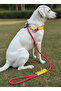 Dog Walking Strap & Collar Single Product 6 cm Diameter Skotocote Rope