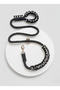 Dog Walking Strap & Collar Single Product 12 cm Diameter Skotocan Rope - 2