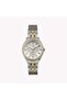 Women's Two-Tone Watch, Silver Dial | Tw2w17900
