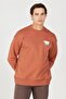 Oversize Men's Sweatshirt W232243219