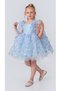 Babyaden Three-Dimensional Butterfly Tulle Fluffy Tutu Skirt with Bow Birthday Graduation Girl Dress