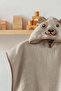 Baby Poncho Bath and Beach Towel 100% Cotton with Hood and Embroidered Figures - Bear Cream - 3