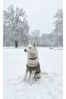100% Cotton Beige Black Striped Dog Sweater Dog Outfit - 2