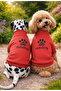Cat Dog Printed Sweat