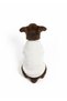 Dog Sweater Gray Dog T-Shirt Gray Sweat Hoodie