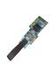 Unisex Black Tiger Tactical Belt - 3