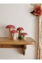 Set of 4 Wooden Waldorf Red Mushroom Toys, Fun and Educational Games