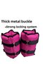 4 Kg 2 Pieces Total 8 Kg Hand Foot Wrist Muscle Strengthener Weight Set Sand Weight Bag - 5