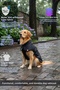 Dog Clothing, Large Breed Dog Raincoat, Waterproof Dog Coat, Black 9-55kg - 2