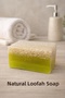 Natural Pumpkin Seed Oil Soap - 2