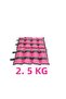 2.5 Kgx 2 Pieces Total 5 kg Hand and Foot Weighted Exercise Set Sand Weight Bag - 4