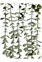 Fejka Pastel Eucalyptus Hanging in a Black Diamond Flowerpot - 4