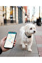 Pet Gps Tracker |   Locator for Cat & Dog |   Water Resistant, Audible Warning