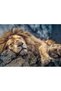PUZZLE 1000 LEU DORMIND - 2