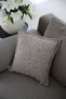Teddy Earth Throw Pillow Cover (45X45) - 4