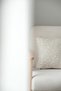 Leo Mink Throw Pillow Cover (45X45) - 4