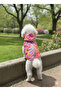 Cat - Dog Waterproof Vest Raincoat - Clothing - Coat - Sweat - 5