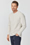 Men's Basic Sweatshirt - 4
