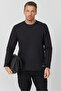 Men's Basic Sweatshirt