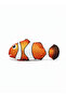 Electric Moving Fish Toy Realistic Simulation Swinging Fish Pet Toy - 4