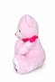 40 cm Plush Teddy Bear Special Gift for Valentine's Day & Children Soft Stuffed Toy with Love Heart - 5